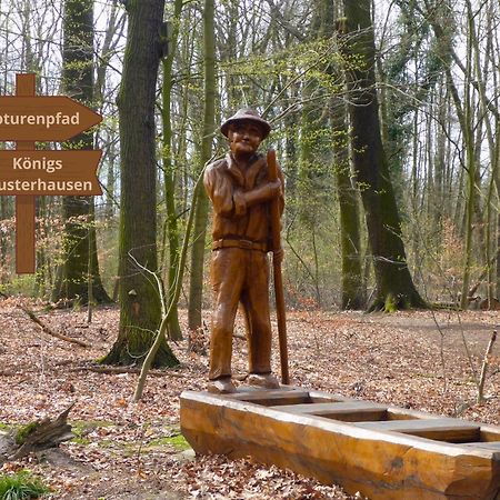 Relaxrefugium Luxus - Kueche, Arbeitsplaetze, Stellplatz & Komfort Fuer Bis 6 Gaeste Königs Wusterhausen Dış mekan fotoğraf